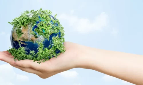 Diploma in Environmental Management