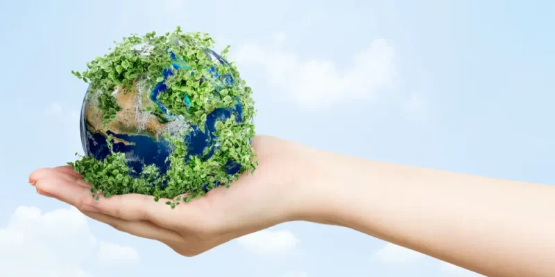 environmental management